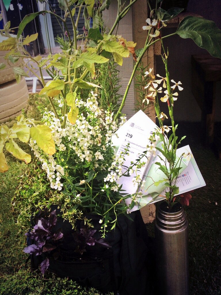 Growinthecity's tweet photo. Good idea @LucyDanger - already done #bootplanters #rucksackplanter #flaskplanter - why not full wardrobe? #Idea https://t.co/y1rDXFm1qm