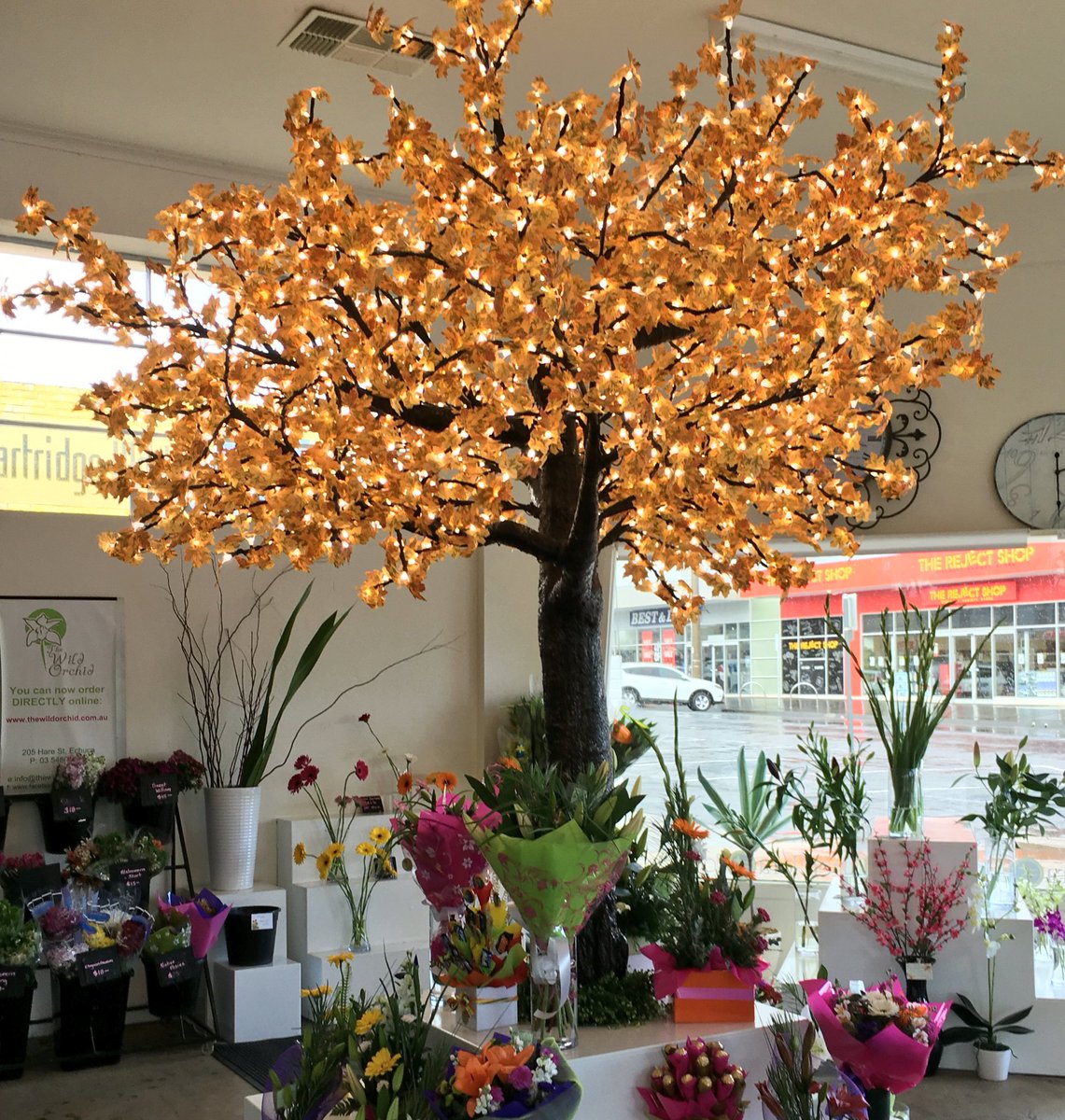 the_wildorchid's tweet image. Love our new tree!! #thewildorchid #ledtree #treelights #wow #echucaflorist