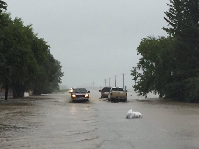 View image on Twitter View image on Twitter