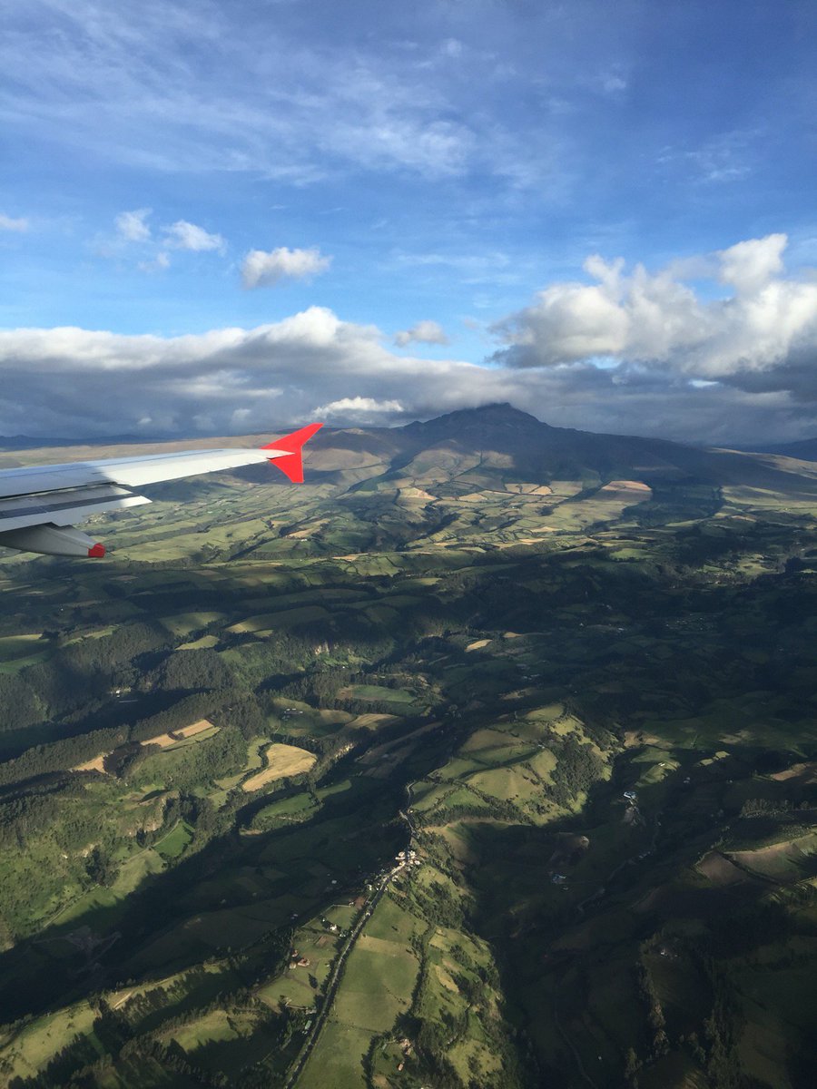 Brian Ricca tweet media