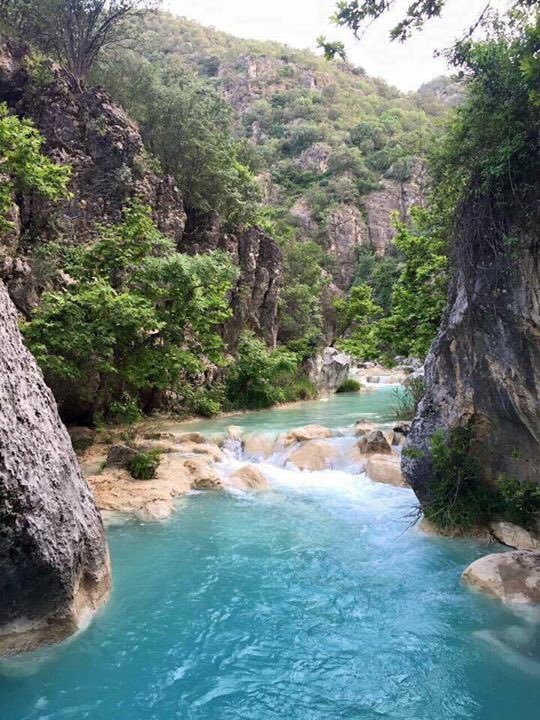 shilanhassan7's tweet photo. مستحيل يكون في مكان احلى من كوردستان 😍😍😍گه ليئ شيرانئ 👌🏻👌🏻 https://t.co/sb0KNEgSWm