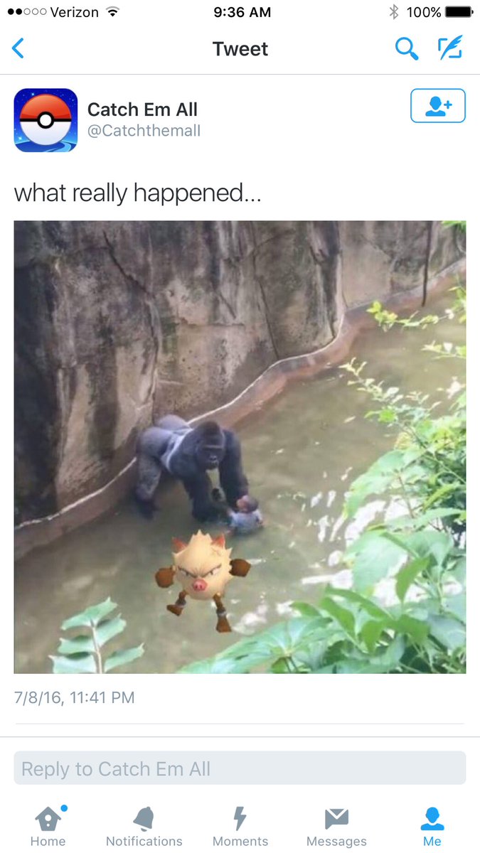 mariefrankie101's tweet photo. OMG 😂😂😂 I cannot stop laughing at these Pokemon Go tweets from @catchthemalI this game is out of control https://t.co/EwQFWdX3Dk