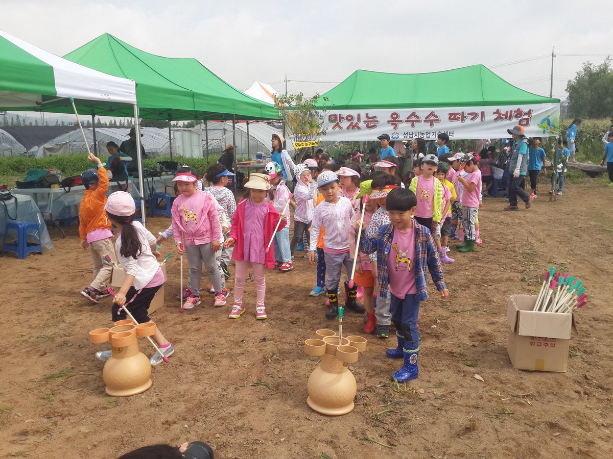 dolmaks's tweet image. #성남시 성남시민농원 농사체험장 '맛있는 옥수수따기 체험' 오늘 7/13일~7/19일까지 5일간 옥수수따기 체험을 진행합니다.