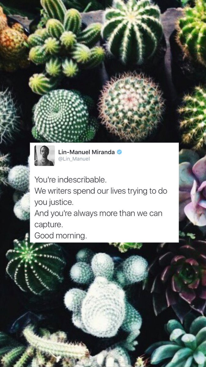 hamilocks tweet picture