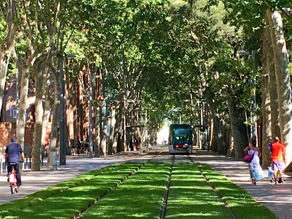 BrentToderian's tweet photo. It's a false choice to debate urban density vs a rich tree canopy. As #Barcelona shows. #HT pics v/@Simon_OByrne https://t.co/ovP209CbrC