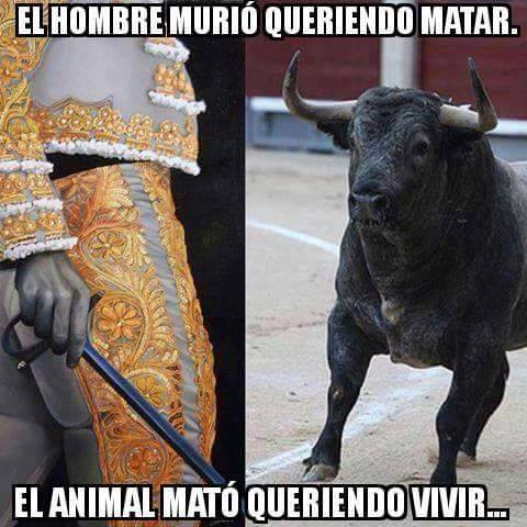 AnibalPachanga5's tweet photo. Sutiles diferencias... https://t.co/7m4yP4GnEx
