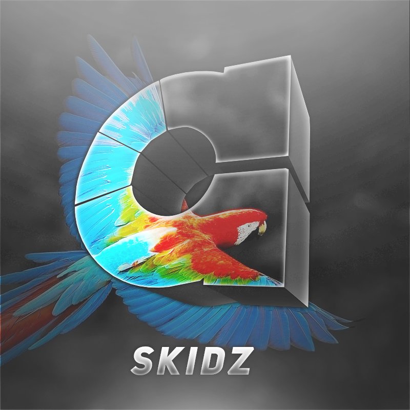 AirReborn's tweet image. Welcome @AirSkidz to AirReborn!