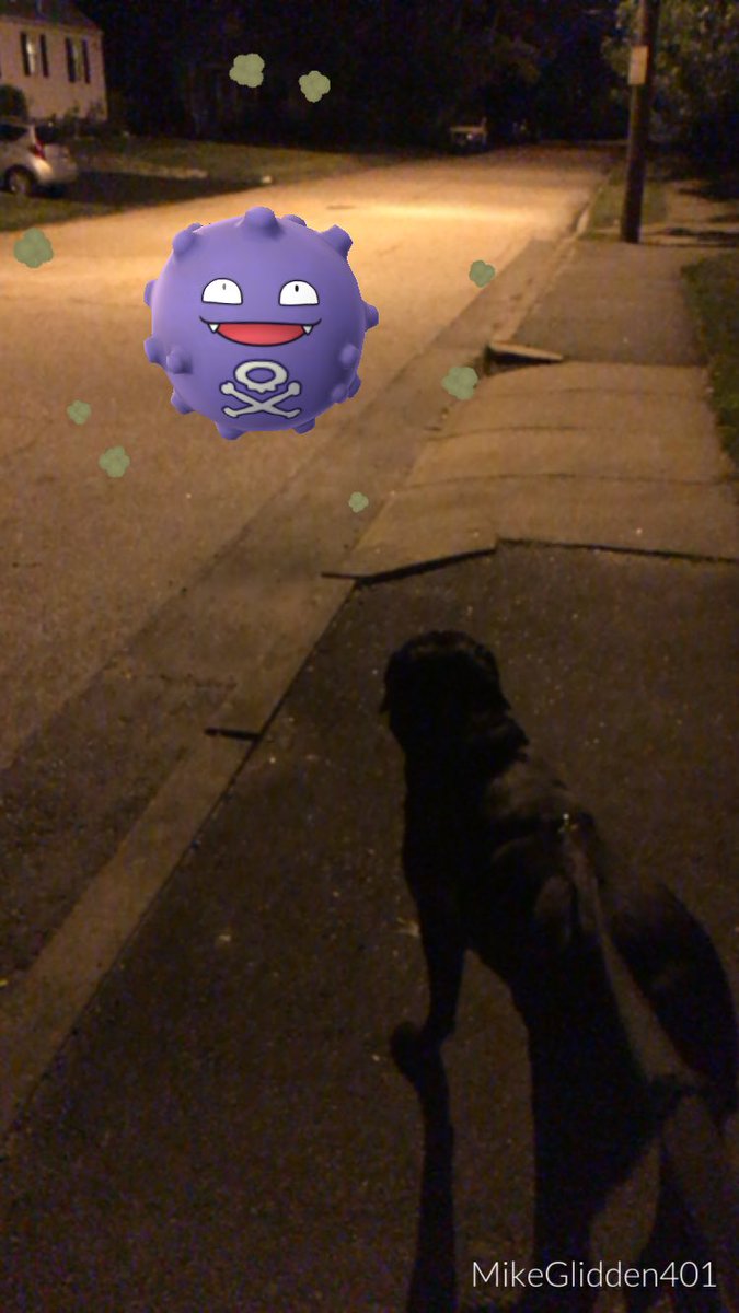 mikegliddenn's tweet photo. Took Stan to hunt for a pikachu and he found a koffing instead https://t.co/35CARKnErp