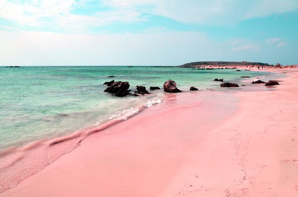 QuoteLMAO's tweet photo. Pink sand beaches 😳😍😍 https://t.co/8FZZbNWLD9 https://t.co/6tQAhBQazr