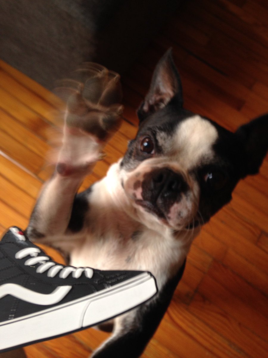 High-five amigos de <a href="/sneakerfevermx/">Sneaker Fever Mx</a>! Gracias por mi sneaker... Me quedó perfecto. Los veo el fin!