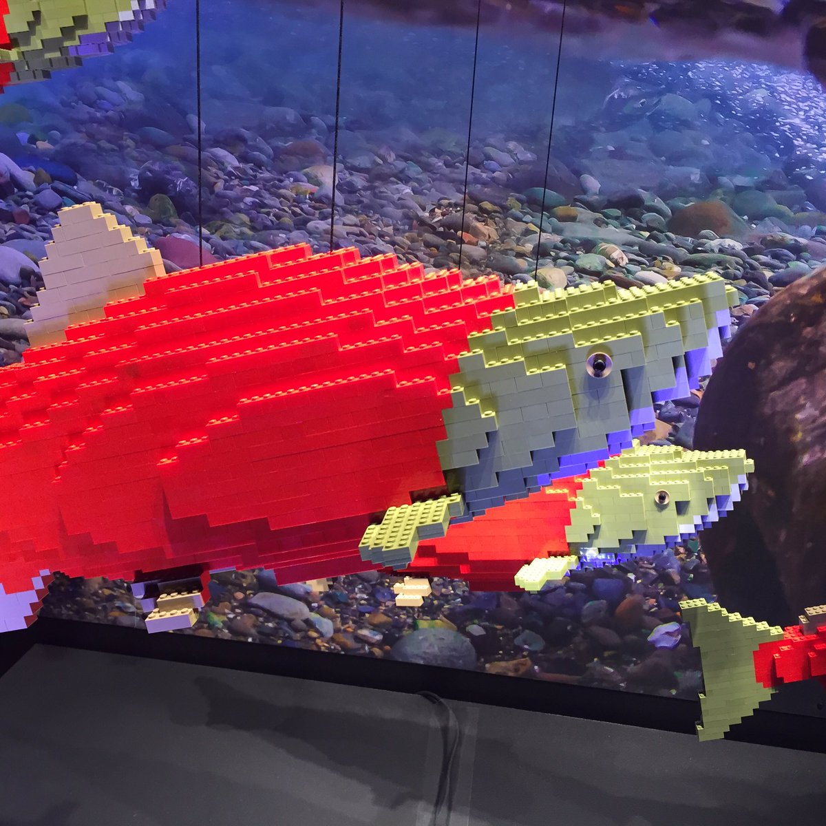 lego salmon