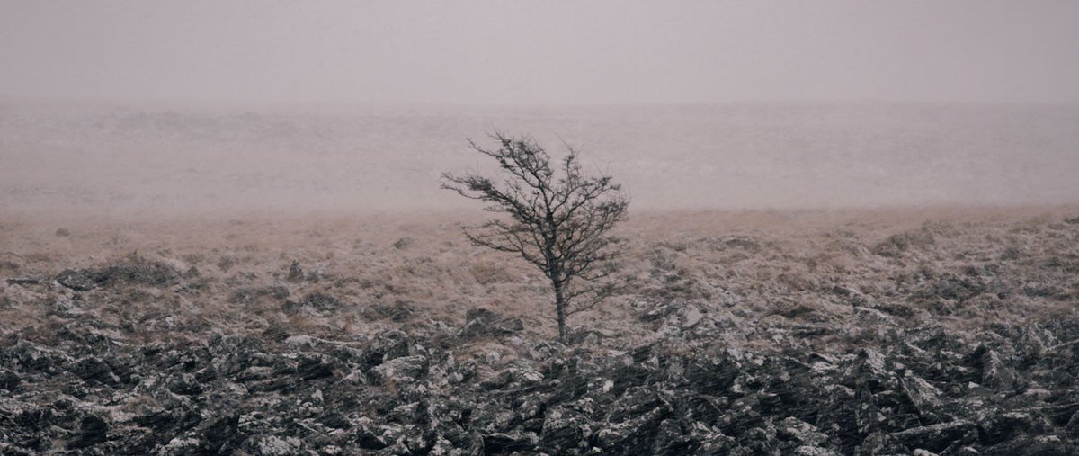 Morning <a href="/ErnestJournal/">Ernest Journal</a> we think you’ll enjoy our new film shot in and around Dartmoor fatsand.com/our-work/wet-d…