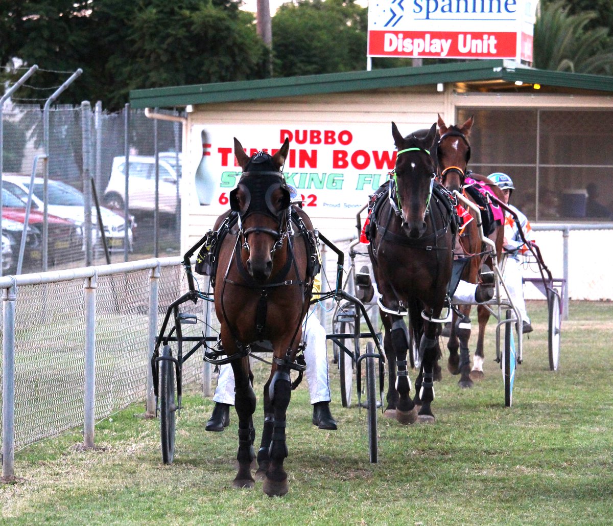 Dubbo Trots this Sunday! Seven races with the first at 2:05pm. Expecting a beautiful 19 degrees! #Hottotrot #Dubbo