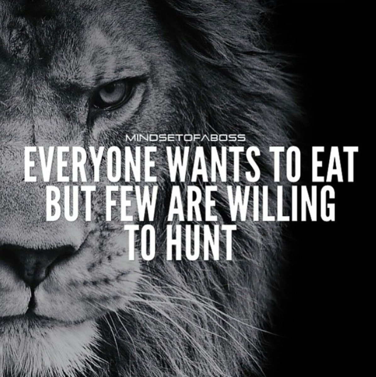 CB19164623's tweet photo. Everyone wants to eat but few are willing to hunt. https://t.co/Vab0q8b1uS