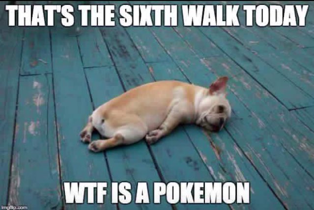 Kara Yahn tweet media