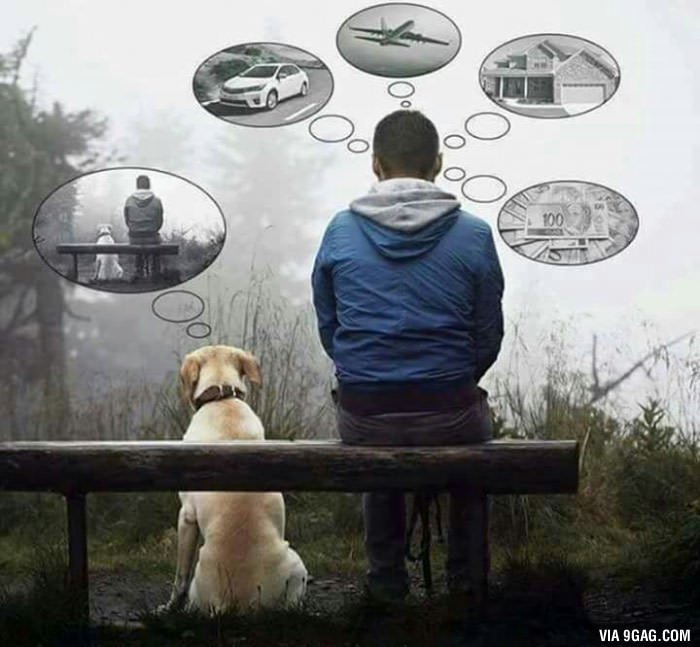 9GAG's tweet photo. Sometimes we should be like our dogs
https://t.co/tALoFeFoNk https://t.co/hqEFey68no