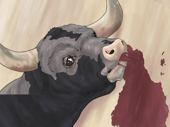 ¿Qué pensará un toro antes de morir desangrado? #SanFermines2016 #Encierro7TVE ow.ly/3BQn3028drb #Encierro7TVE