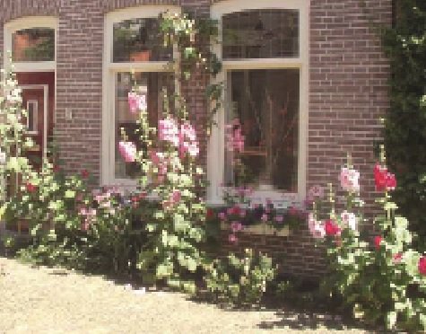 DeelnMarne's tweet photo. Ulrum wordt zo groen als vroeger.
https://t.co/XOJijWyMNK 
#deelnulrum https://t.co/hs75YHXiJU