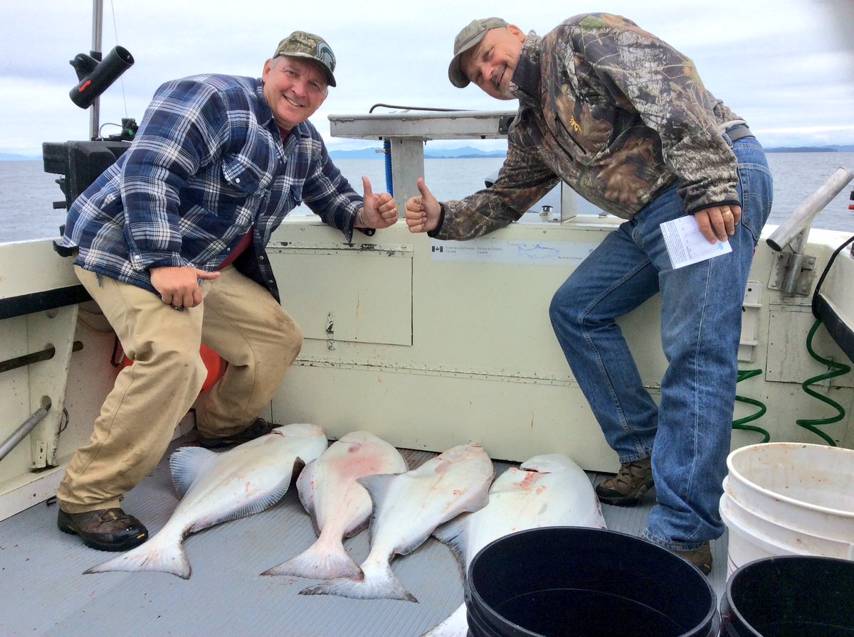 MacksCharters's tweet image. Excellent day! #halibut #fishing #ourmissionfishin #britishcolumbia #TheWayToFish