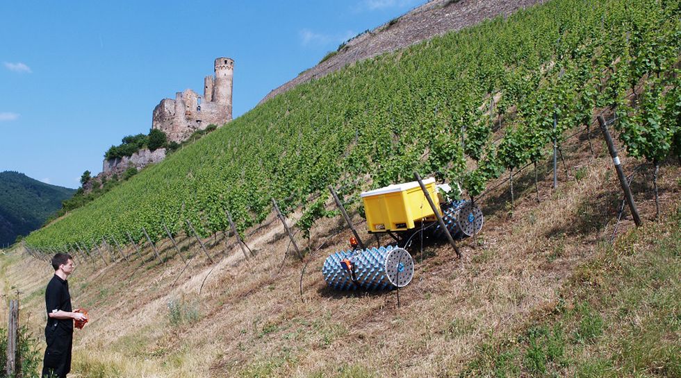 naiotech's tweet photo. #Geisi : un drôle de #tracteur pour les #vignes en pente https://t.co/heHN2lFRIh @Journal_Entraid #hsgeisenheim https://t.co/4DOZnordD6