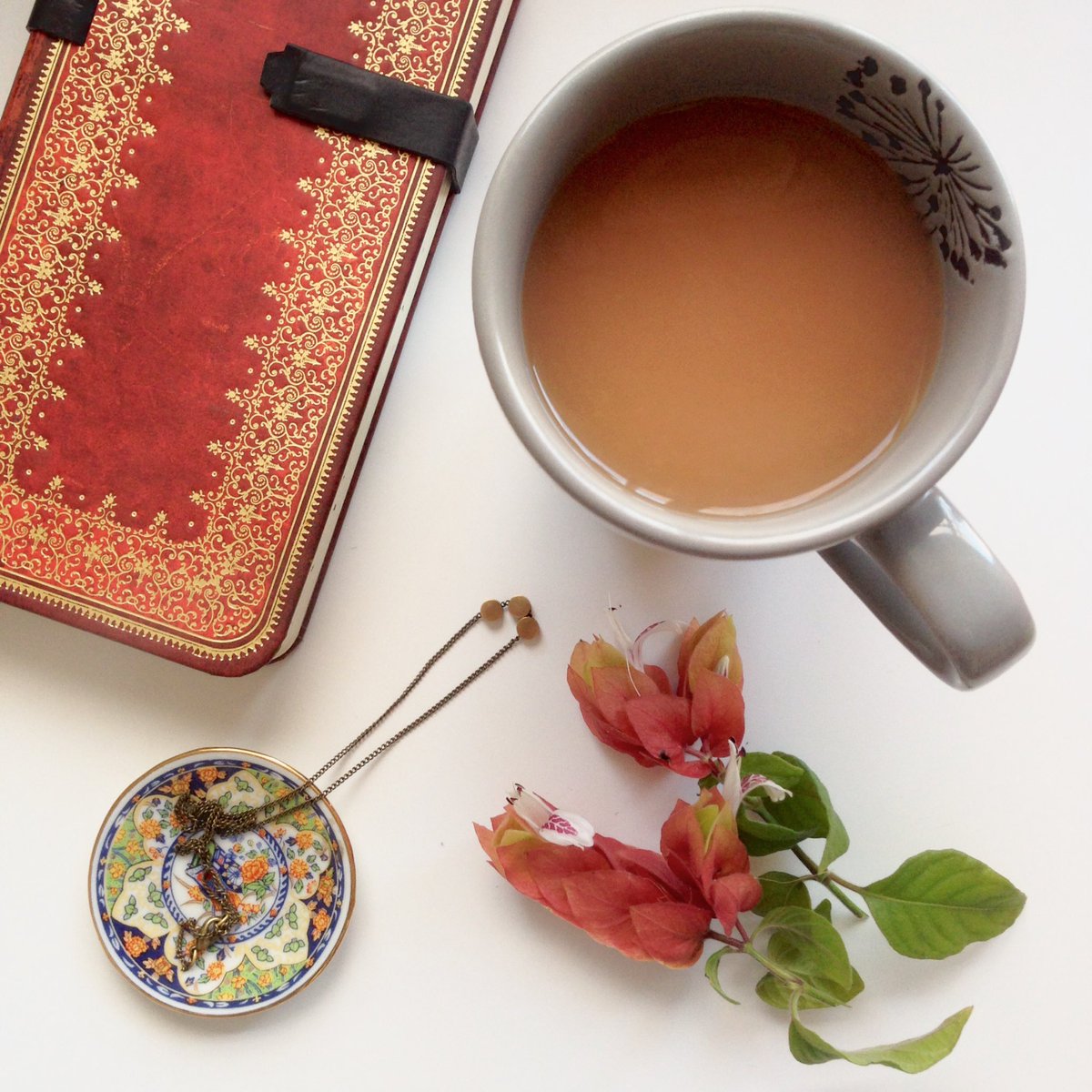 Claudia_Moruzzi's tweet photo. Happy morning rituals. #morningtea #sleepbeautifully #abirdnamedfrank #journaling #tinyplates #gardenflowers https://t.co/xVuKgXcqTH