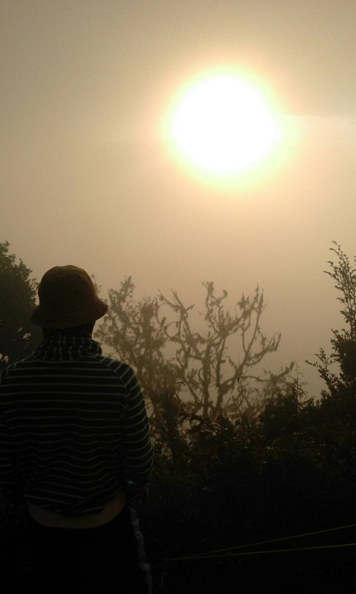 FA (@farhanaay) on Twitter photo 