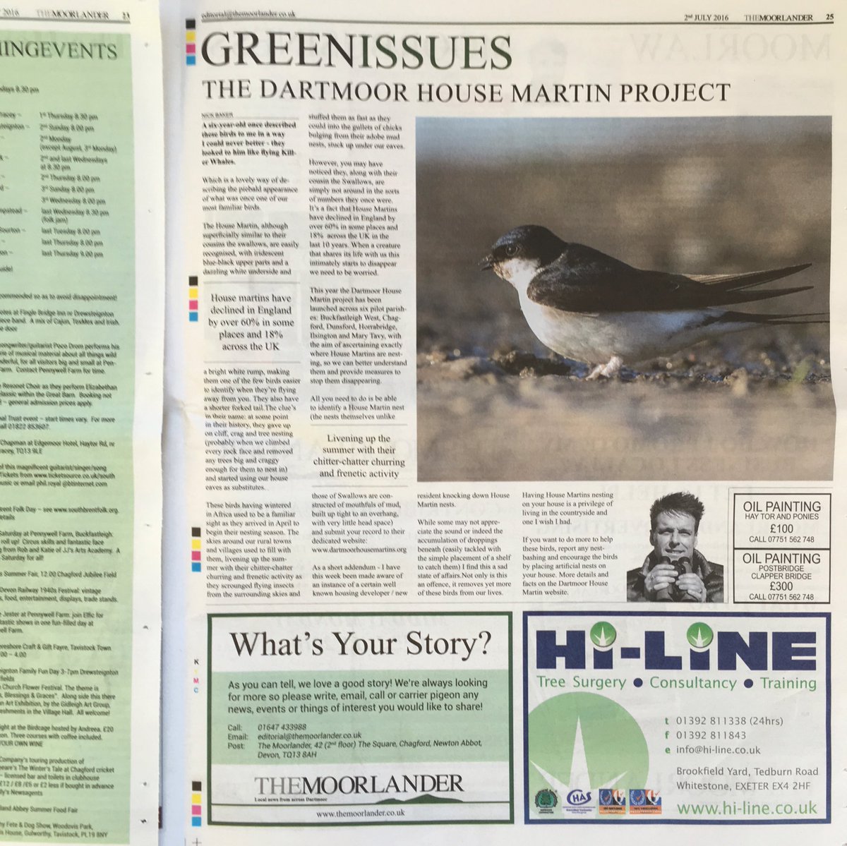 benhiline's tweet photo. @hilinesw have made the local broad sheets from across #Dartmoor @Dartmoor_Hour #TheMoorlander #trees https://t.co/VpTST9fGmz