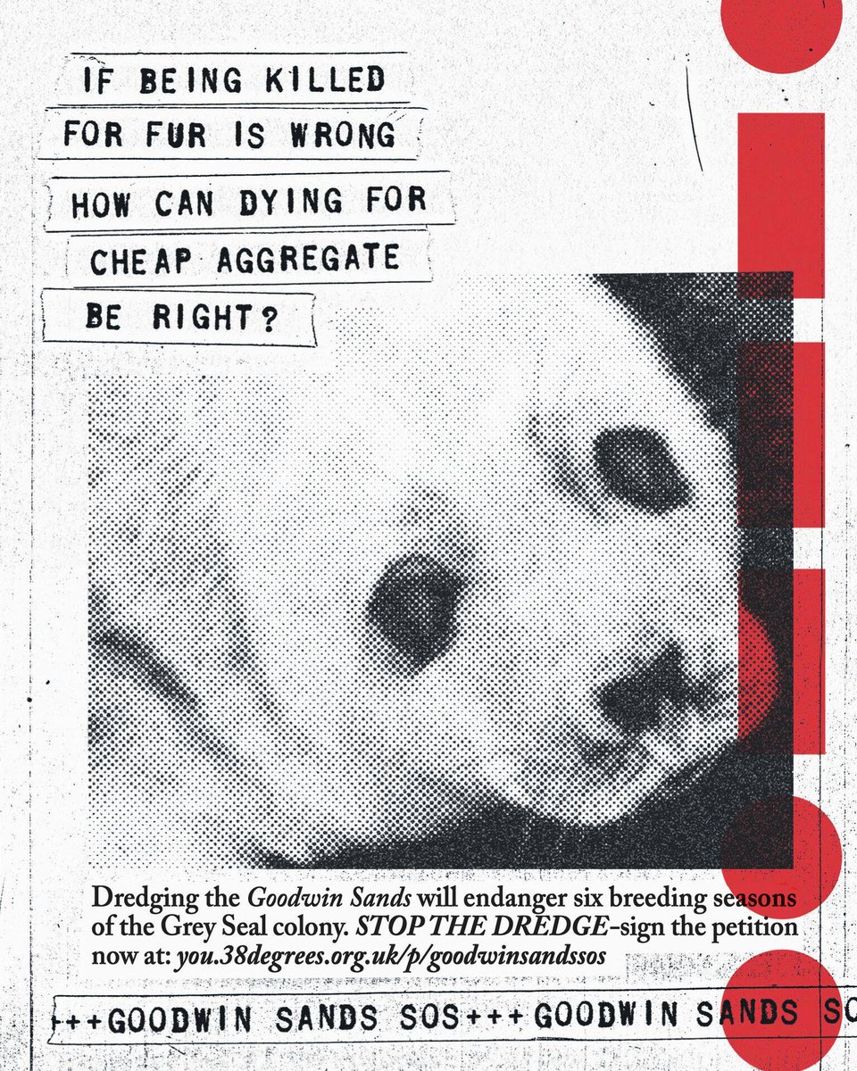 Save Our Sands tweet media