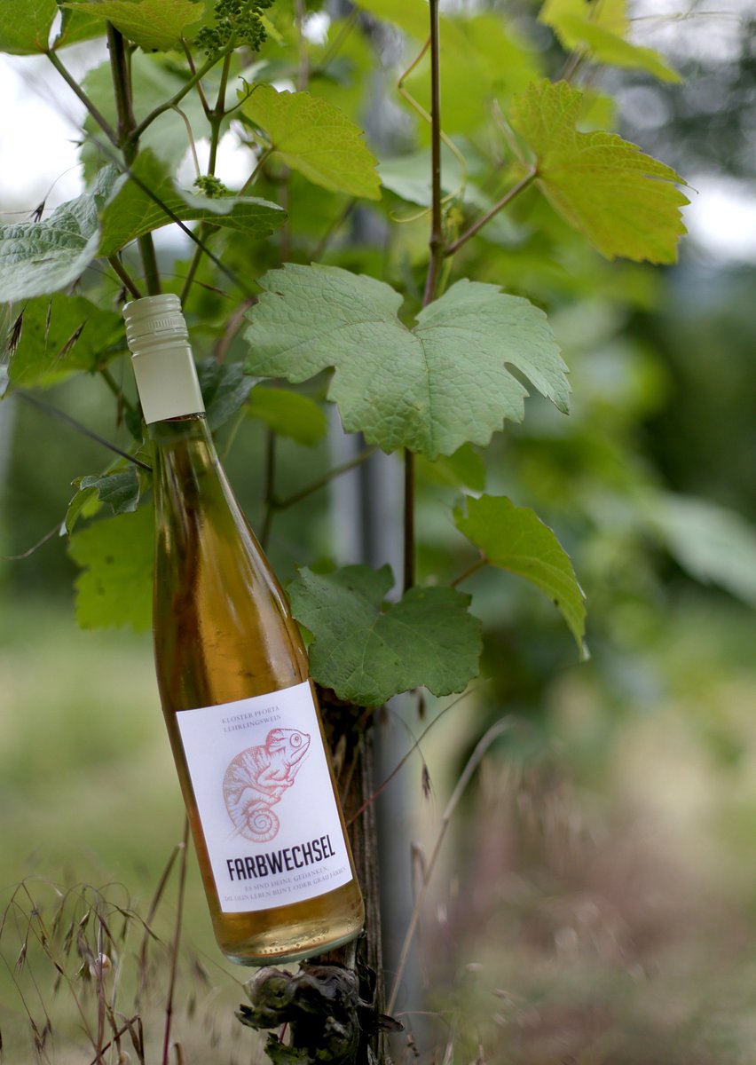 FARBWECHSEL. Weißwein mit roter Seele - nun auch endlich in unserem Onlineshop erhältlich bit.ly/29BydSK