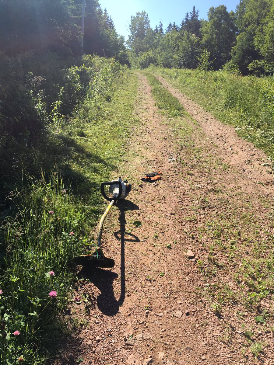 coreyohandley's tweet image. Time to trim driveway #notquick