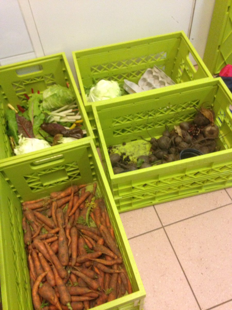 Het Woldhuis te Apeldoorn. Stichting Zomer kook weken biedt kinderen een hele leuke week!