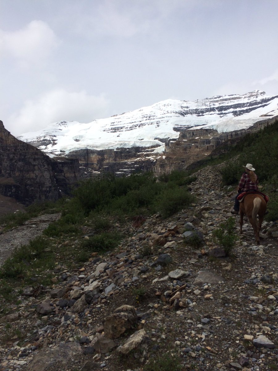 PerryYak's tweet photo. #ridingin
#PlainofSixGlaciers https://t.co/9xP0XPy8nR