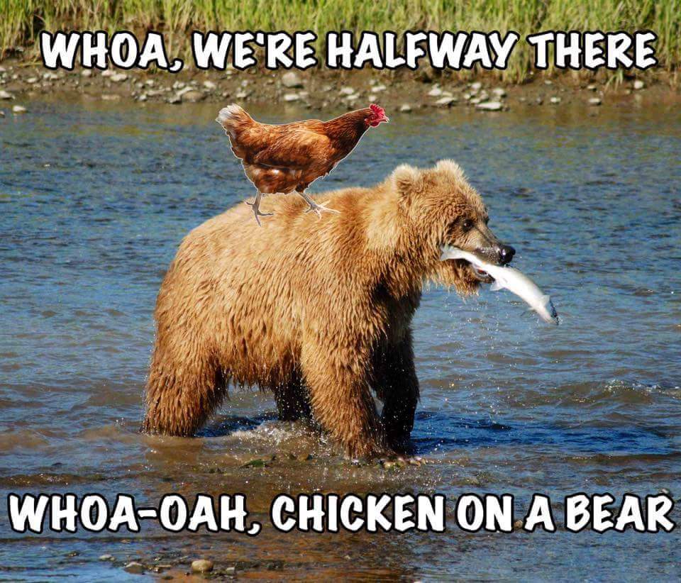 theBerryYYC's tweet photo. Happy Wednesday y'all!  #BerryLove #HumpDay https://t.co/4HJbc68P00