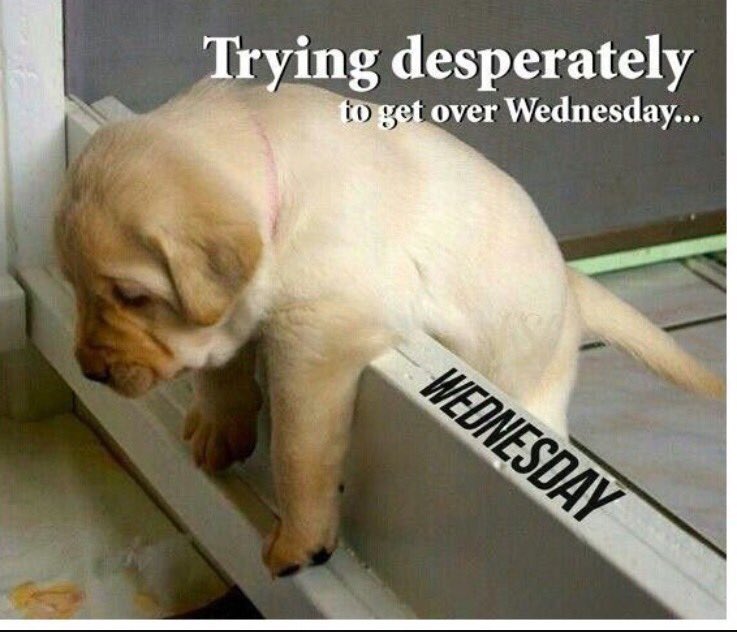 Popworldwolves's tweet photo. #midweekproblems 😂 #popworldwolves #aintnopartylikeapopworldparty https://t.co/KAd1v5DxAC