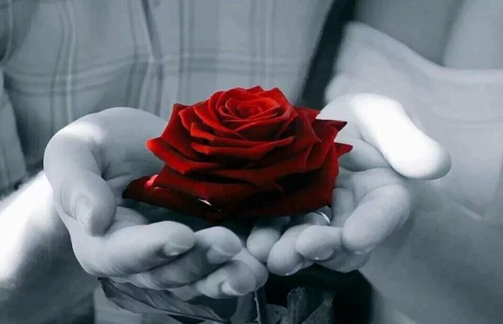 loverlovef's tweet photo. لَمًآ بًطِلَ غُآر عليکْ وٌ بًطِل أهّتمً فُيِکْ أتٌأکْدٍ وٌقُتٌآ أنِکْ مًآعٌآدٍ تٌعٌنِيِلَيِ شُيِ وٌمًآعاد حًبًکْ •☆ https://t.co/4HuaGU3H4h