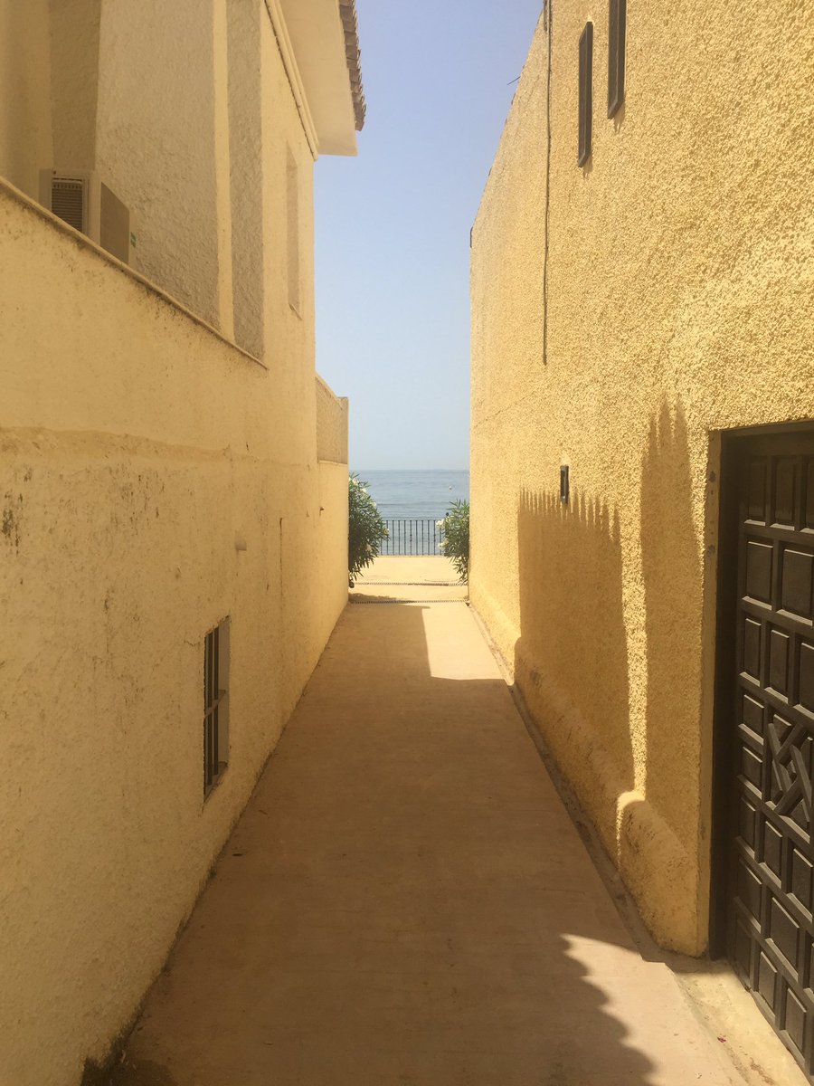 Peter Lanting tweet media