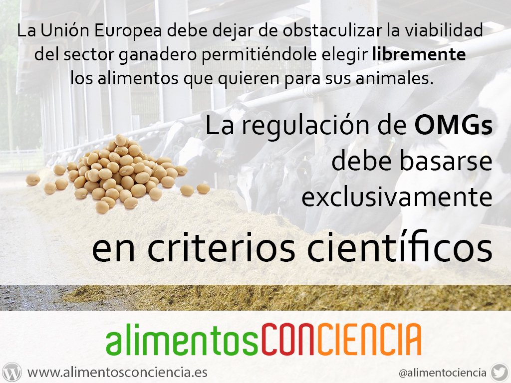 alimentociencia's tweet photo. La regulación de #OMGs en la #UE debe basarse SIEMPRE en criterios científicos. #ALIMENTOSconCIENCIA #ACC #Ciencia https://t.co/IgsyWhXWCb