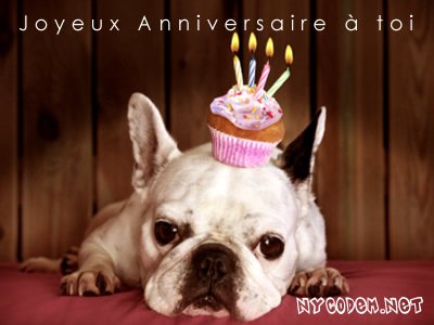 Joyeux anniversss #anniversaire anniversaire drole gateau chats  Images  joyeux anniversaire drôles, Joyeux anniversaire chats, Joyeux anniversaire  drole