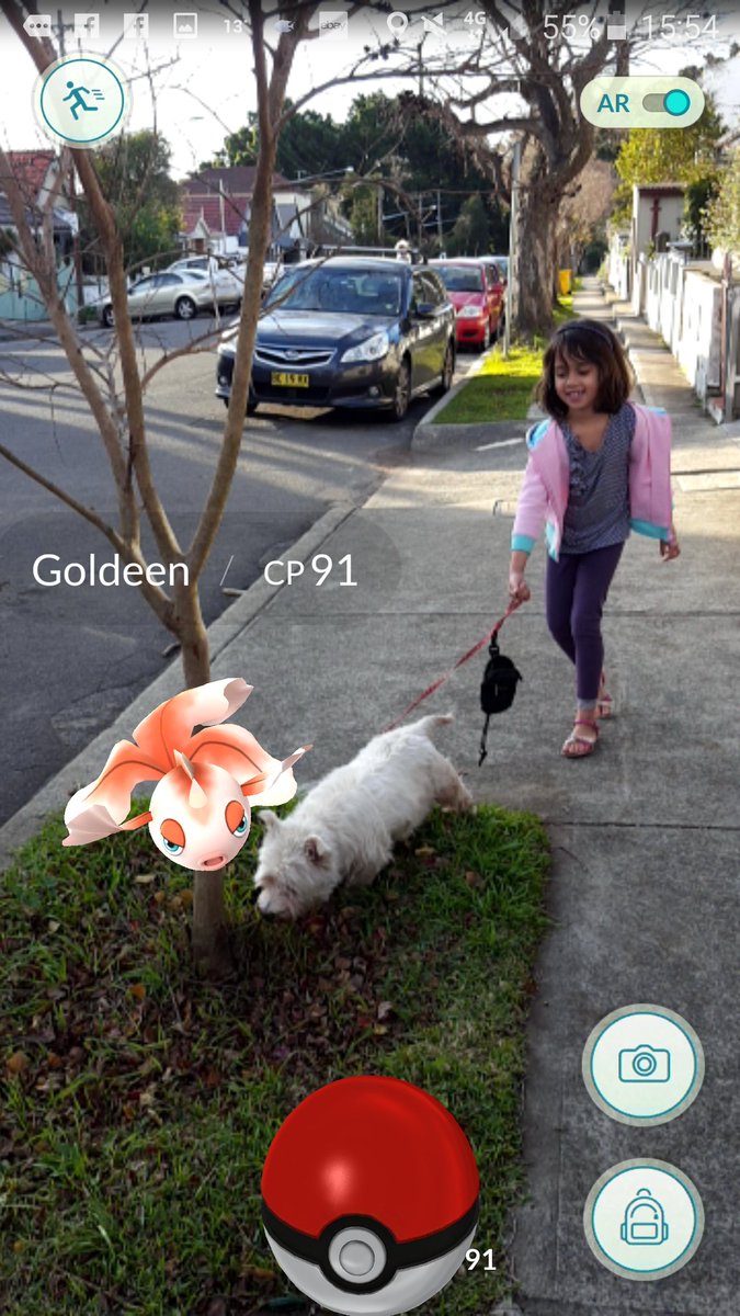 ScubaMamma's tweet photo. I leave it to my Westie to find all the #Pokemons for me! #PokemonGO https://t.co/Vf6rUSqIhj