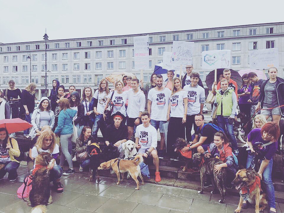 Wszyscy razem karmimy zwierzaki ze schroniska🐶👌😁 #charity #dogs <a href="/joannakrupa/">Joanna Krupa</a> <a href="/LeszekStanek/">Leszek Stanek</a>