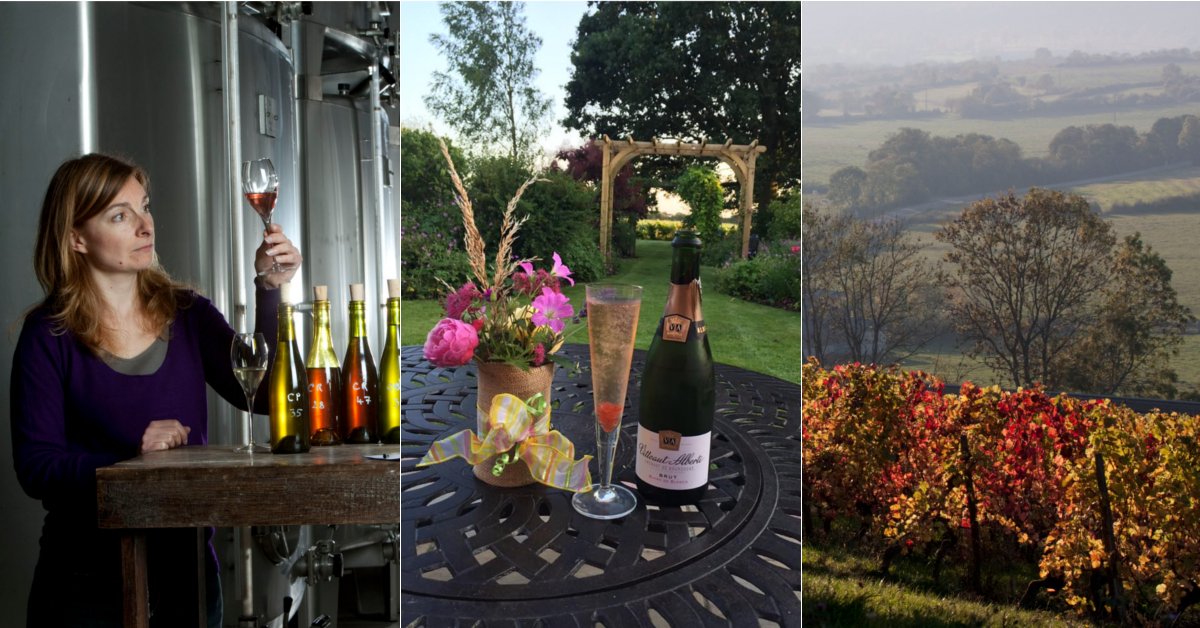 Meet Agnès, the woman doing beautiful Burgundy fizz a bit differently bit.ly/29ItSgY #Bubbles #Wine #France