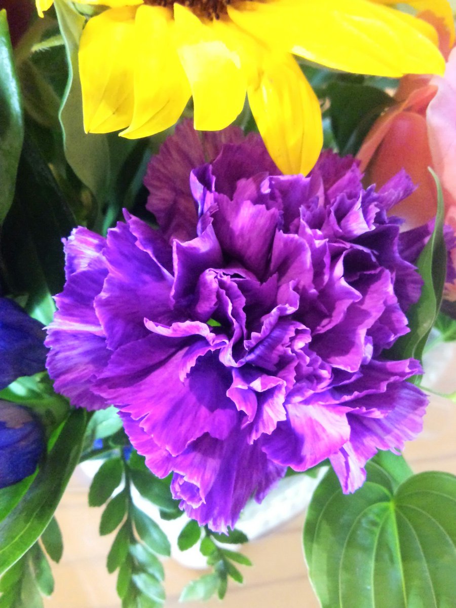 松原おこし 麻生本家 Auf Twitter この期間中は青色の花の入荷が難しいそうで 本当に花屋さんには無理を言ってお願いしています プチ花ツル さんは 唐津市内のスーパーまいづる本店内にあります さが松りのおみやげにお好きな色のお花はいかがですか 松原おこし 麻生本家 Auf Twitter この期間中は青色の花の入荷が難しいそうで 本当に花屋さんには無理を言ってお願いしています プチ花ツル さんは 唐津市内のスーパーまいづる本店内にあります さが松りのおみやげにお好きな色のお花はいかがですか