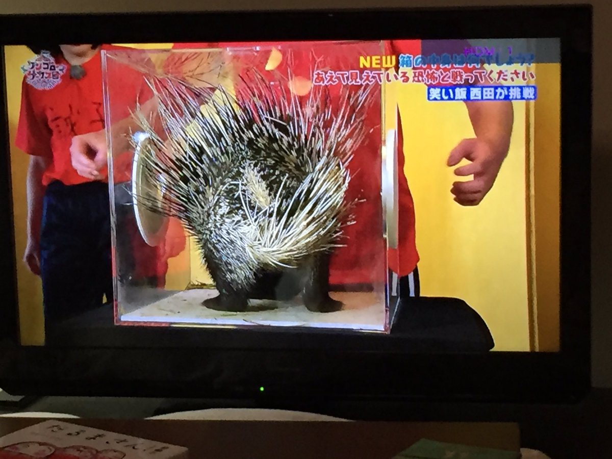 箱の中身は何でしょう 箱の中身は何でしょう