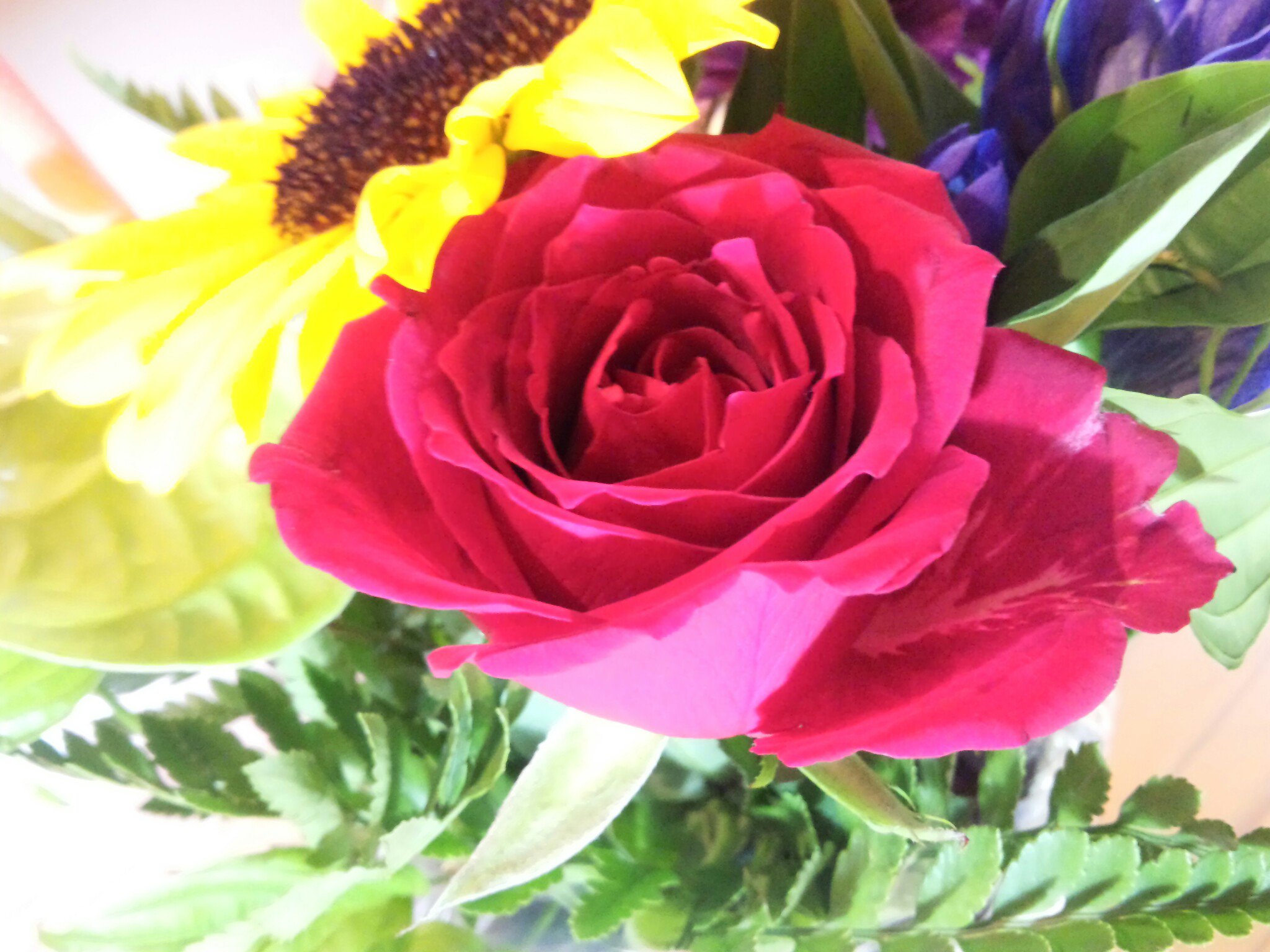 松原おこし 麻生本家 この期間中は青色の花の入荷が難しいそうで 本当に花屋さんには無理を言ってお願いしています プチ花ツル さんは 唐津市内のスーパーまいづる本店内にあります さが松りのおみやげにお好きな色のお花はいかがですか