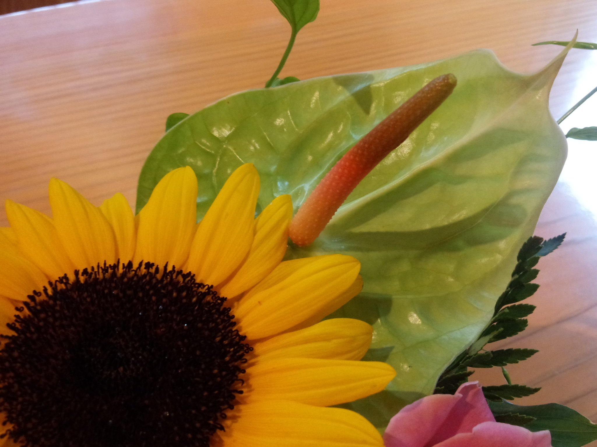 松原おこし 麻生本家 この期間中は青色の花の入荷が難しいそうで 本当に花屋さんには無理を言ってお願いしています プチ花ツル さんは 唐津市内のスーパーまいづる本店内にあります さが松りのおみやげにお好きな色のお花はいかがですか