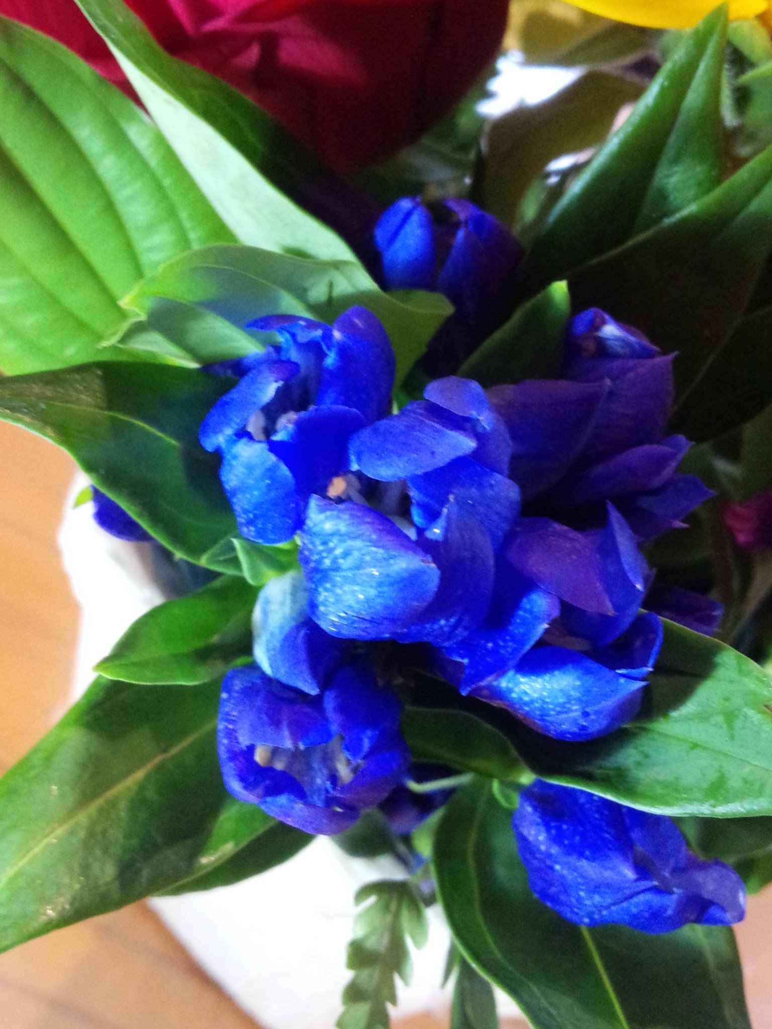 松原おこし 麻生本家 この期間中は青色の花の入荷が難しいそうで 本当に花屋さんには無理を言ってお願いしています プチ花ツル さんは 唐津市内のスーパーまいづる本店内にあります さが松りのおみやげにお好きな色のお花はいかがですか