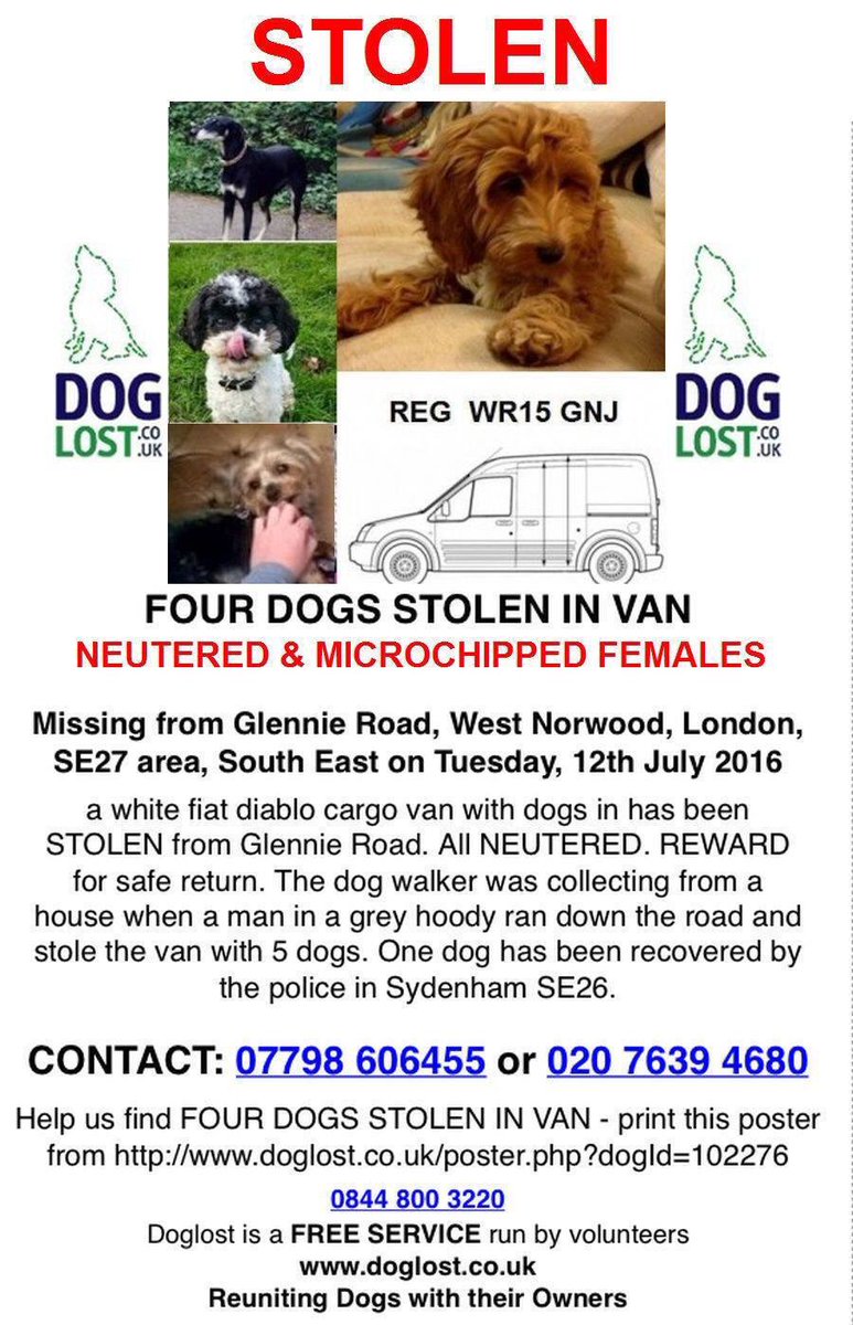 LisaLisaw1's tweet image. Please RT #Dog walkers van #stolen along with four #dogs #WestNorwood #London SE27 #MissingDog s #StopPetTheft