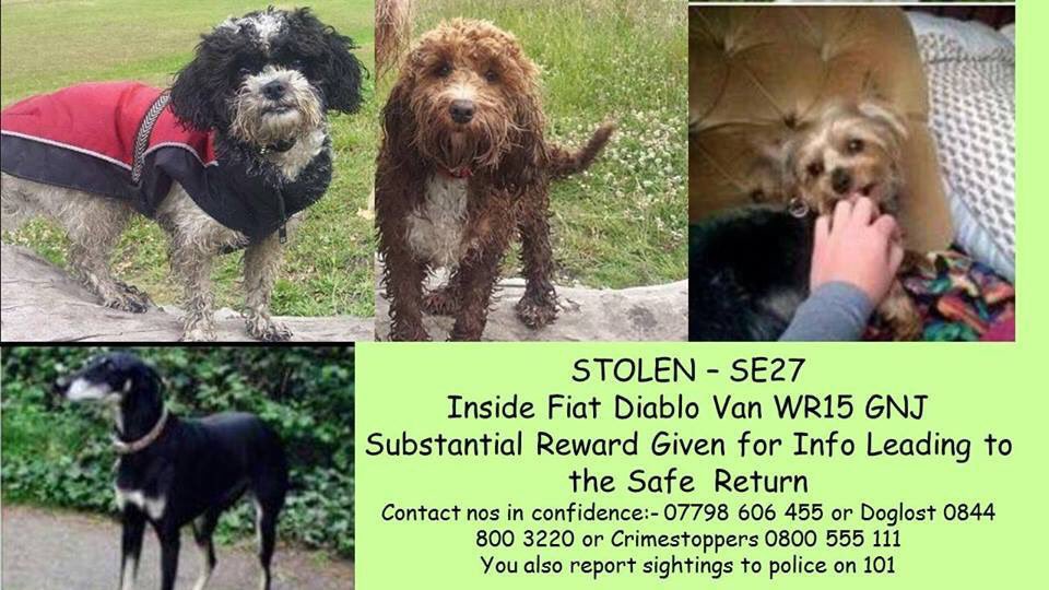 LisaLisaw1's tweet image. Please RT #Dog walkers van #stolen along with four #dogs #WestNorwood #London SE27 #MissingDog s #StopPetTheft