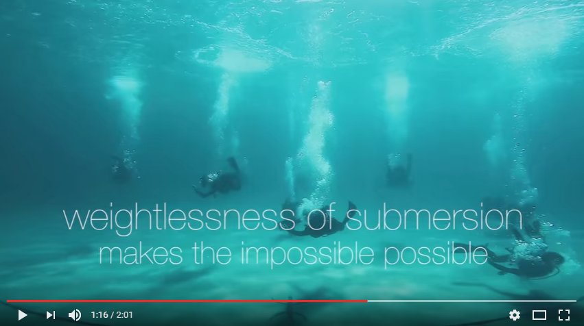 Kalamatadancefestival Hashtag On Twitter