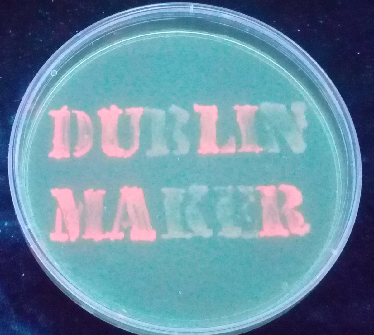 DublinMaker's tweet photo. Want to see some cool synthetic art from @TCDiGem come to #dublinmaker on the 23rd! So pretty 😍 https://t.co/ntE15kApd3